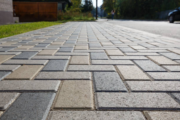 Best Custom Driveway Pavers  in West Rancho Dominguez, CA